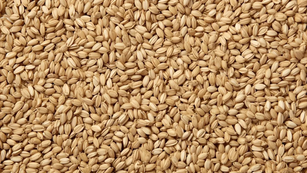 Sesame Puns