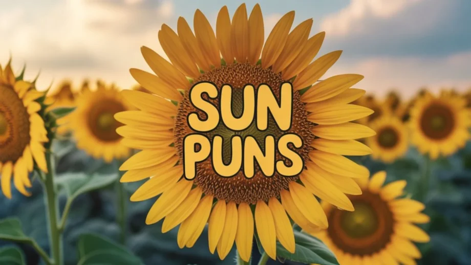 Sun Puns | Bright, Funny And Hilarious Wordplay to Make Your Day Shine 2025