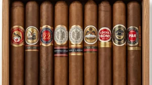 Read more about the article Cigar Puns | That Will Light Up Your Day 2025