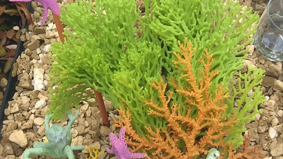 Kelp Puns 