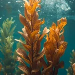 Kelp Puns | Sea-riously Funny Wordplay to Make Waves 2025