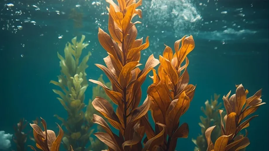 Kelp Puns | Sea-riously Funny Wordplay to Make Waves 2025