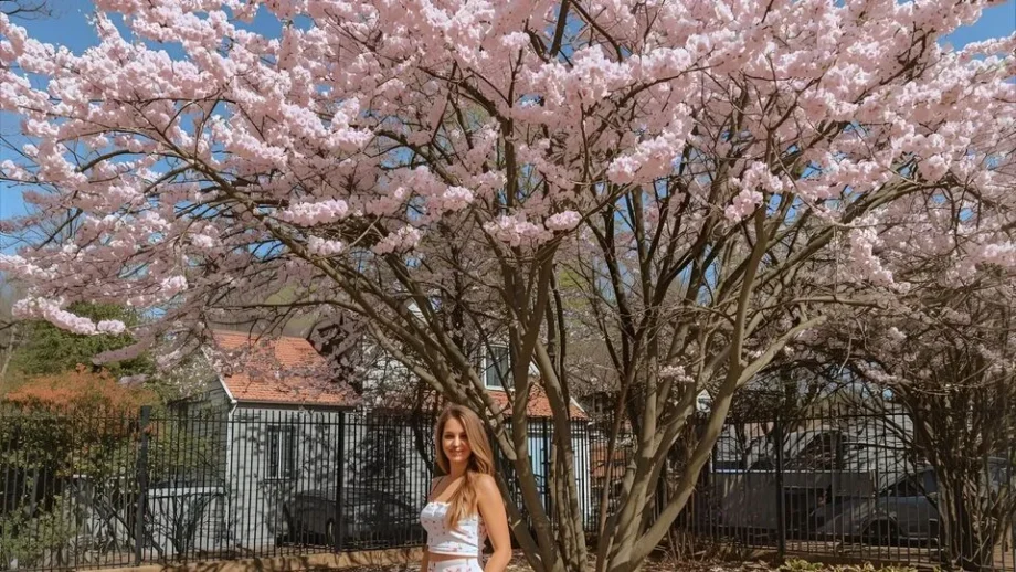 May Puns | 327 That’ll Blossom Your Sense of Humor in 2025