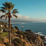 San Diego Puns | The Sunniest Wordplay on the West Coast 2025