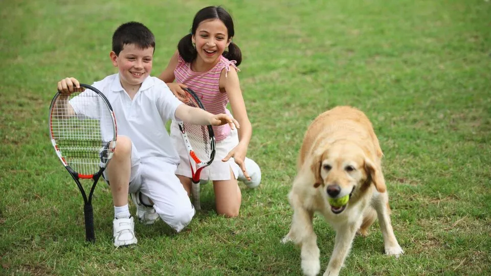 Animal Joke of the Day for Kids