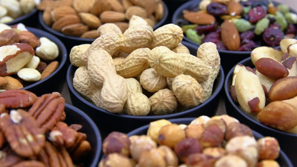 Deez Nuts Jokes for Captions and Bios