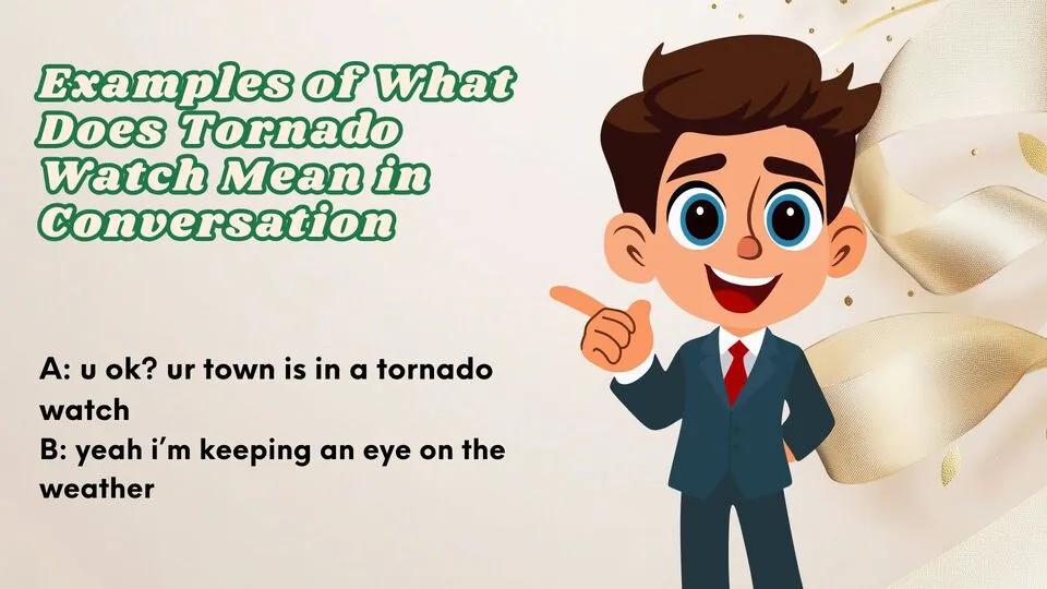 Examples of What Does Tornado Watch Mean in Conversation