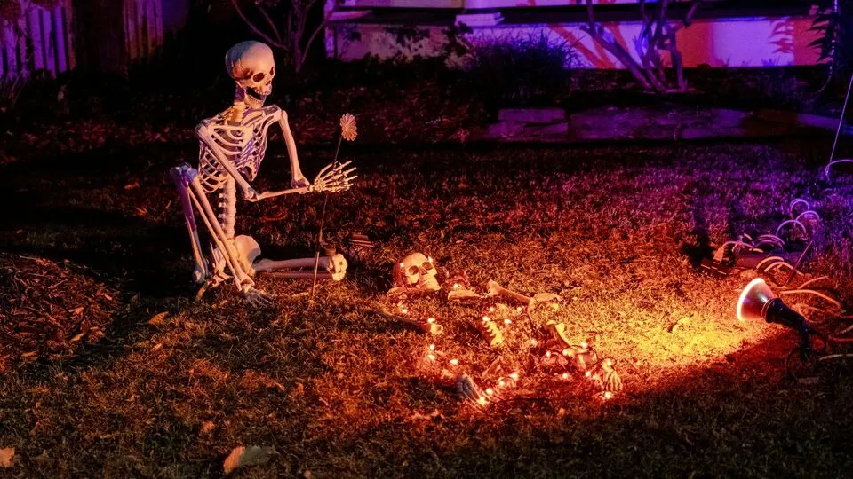 Hilarious Halloween Jokes