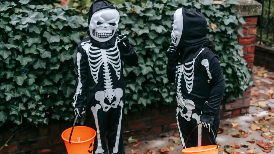 Skeleton Jokes for Kids