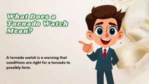 Read more about the article What Does a Tornado Watch Mean | for Your Area 2026