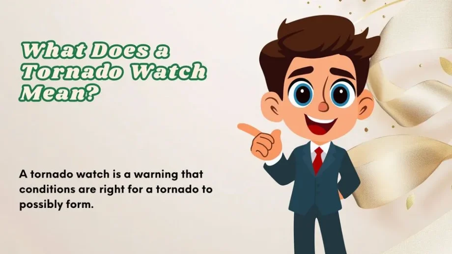 What Does a Tornado Watch Mean | for Your Area 2026