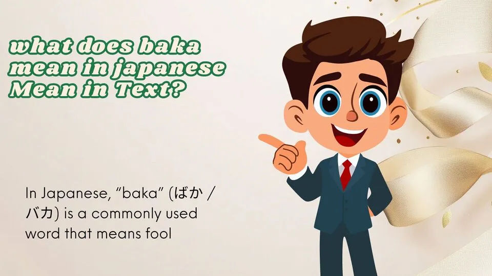 what does baka mean in japanese Mean in Text?