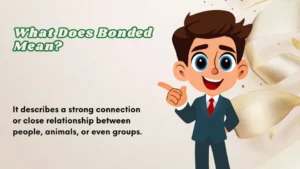Read more about the article What Does Bonded Mean | Quick and Easy Definition 2026