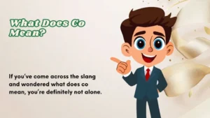 Read more about the article What Does Co Mean | Meaning Examples And Usage 2026