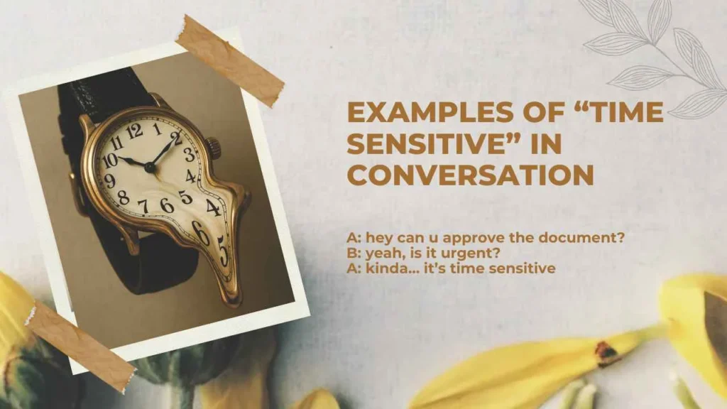 Examples of “Time Sensitive” in Conversation