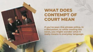 Read more about the article What Does Contempt of Court Mean for Beginners For 2026