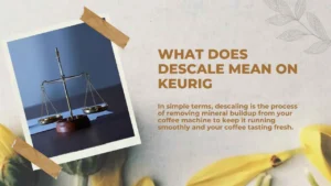 Read more about the article What Does Descale Mean on Keurig | Complete Guide for Coffee Lovers for 2026