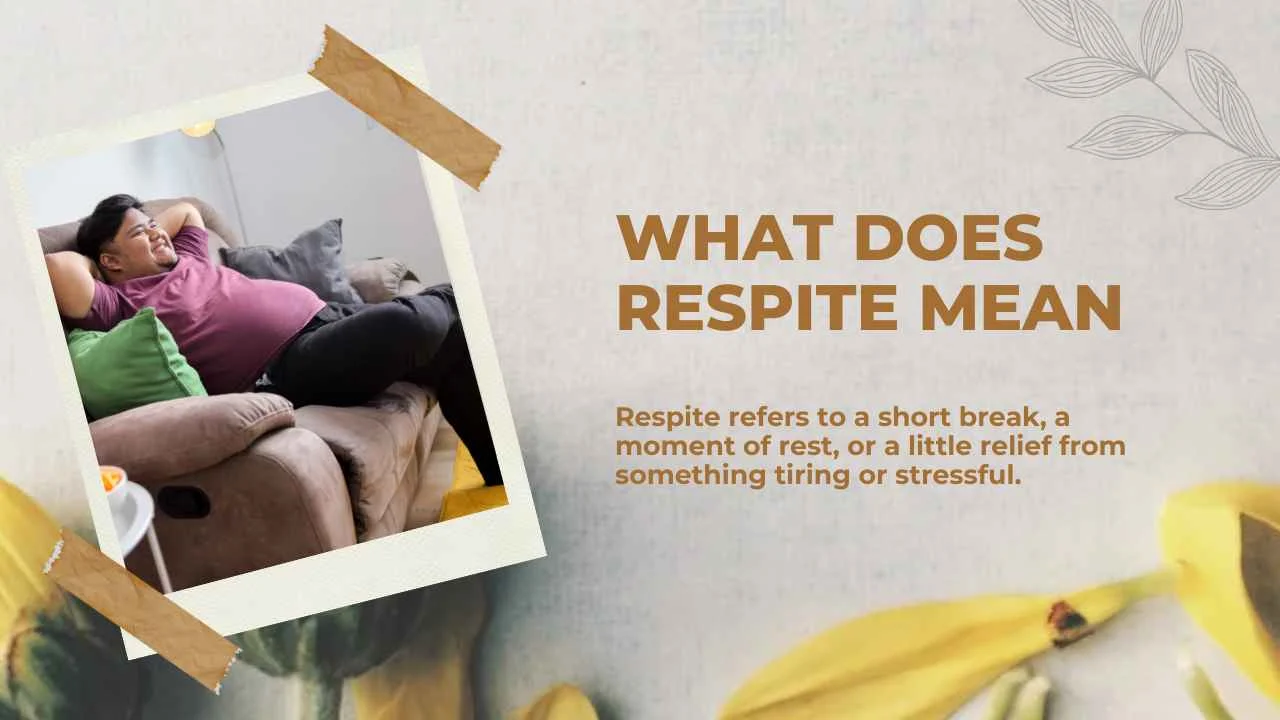 What Does Respite Mean
