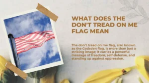 Read more about the article What Does the Don’t Tread on Me Flag Mean | Meaning, Usage and Symbolism 2026
