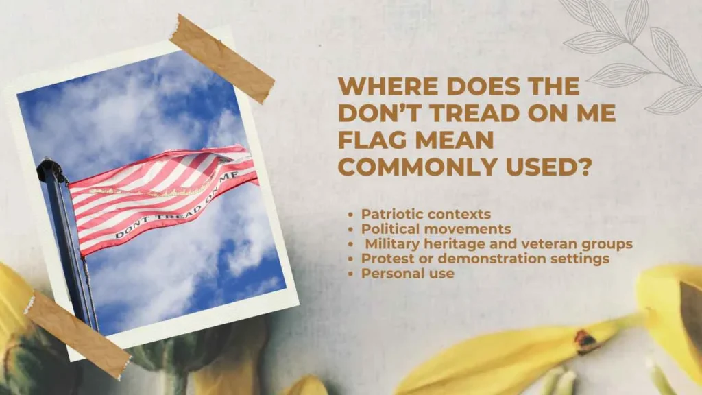 Where does the don’t tread on me flag mean Commonly Used?